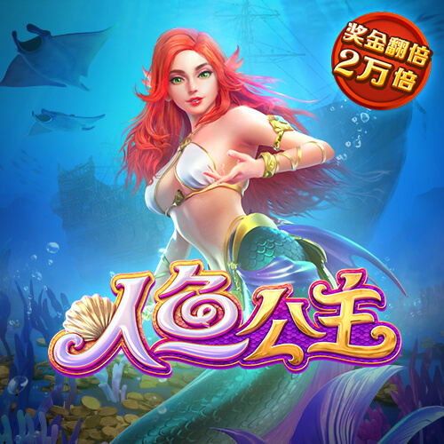 期期中app官方正版下载